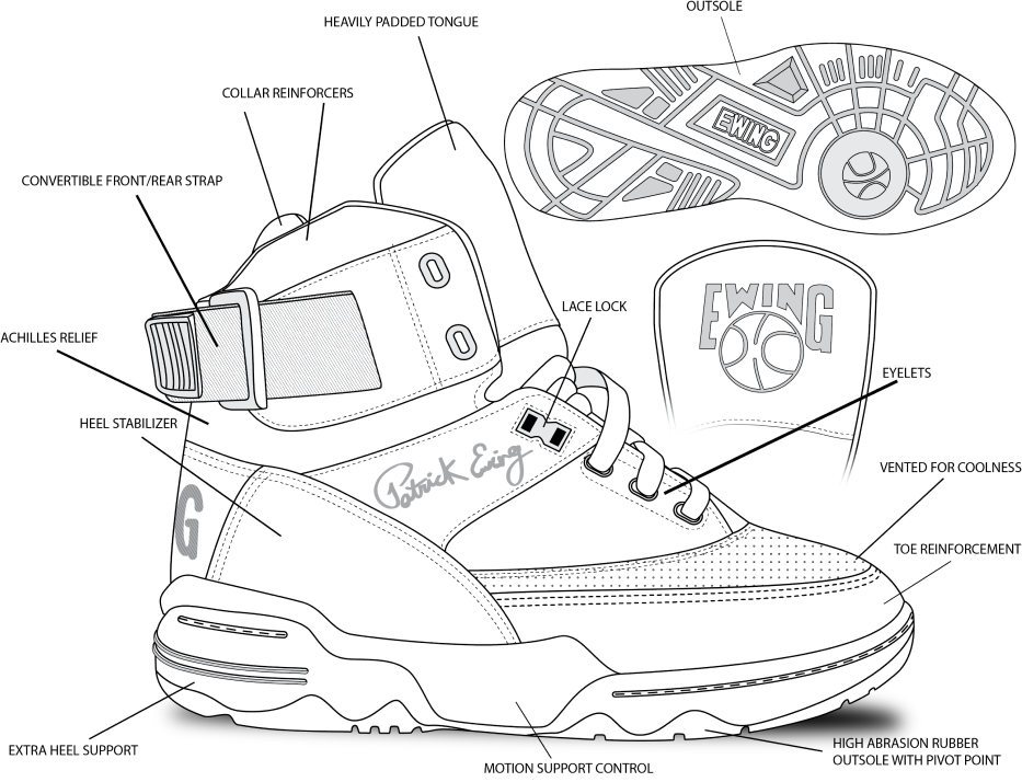 33 HI anatomy collection image