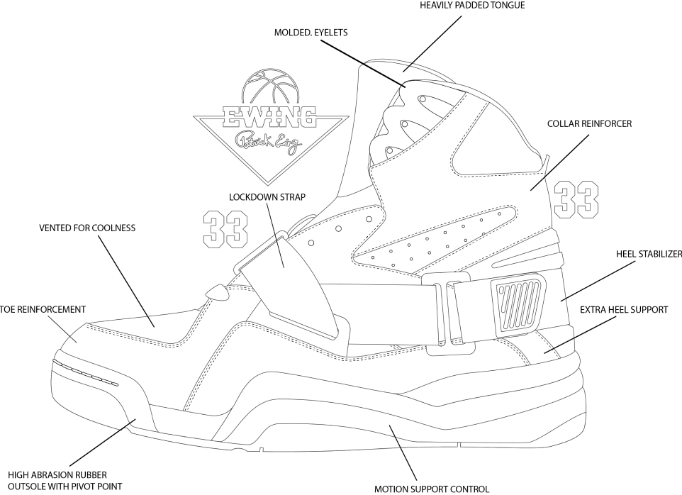 Concept anatomy collection image